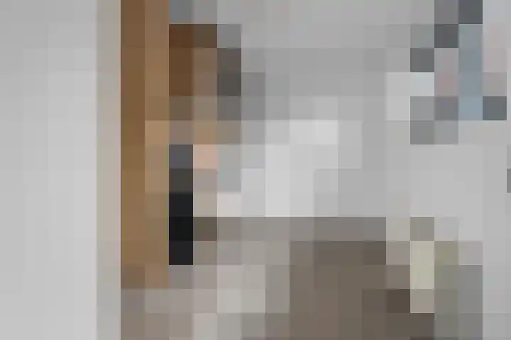 Dwarsstraat 15 Zwartemeer thumbnail 5