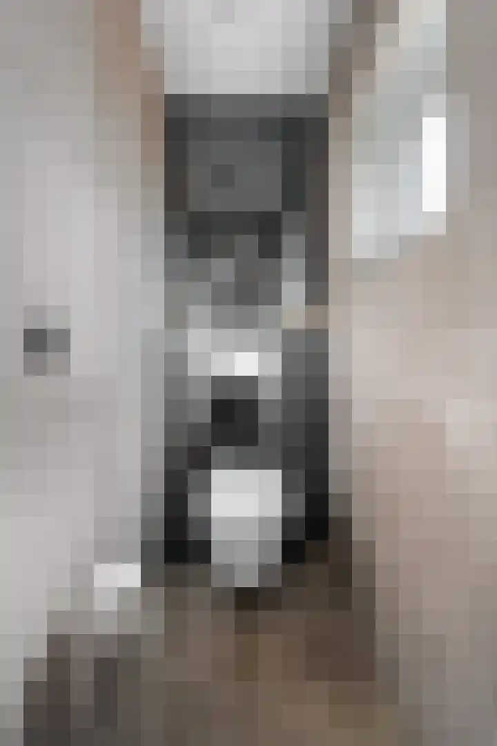 Dwarsstraat 15 Zwartemeer thumbnail 6