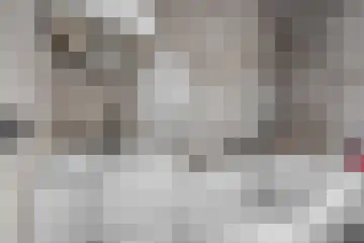 Dwarsstraat 15 Zwartemeer thumbnail 8