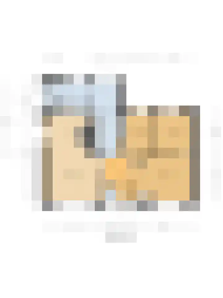 Dwarsstraat 2 a Geldermalsen thumbnail 34