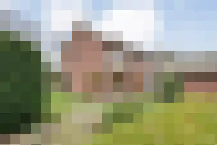 Dwarsstraat 2 Langeveen thumbnail 20