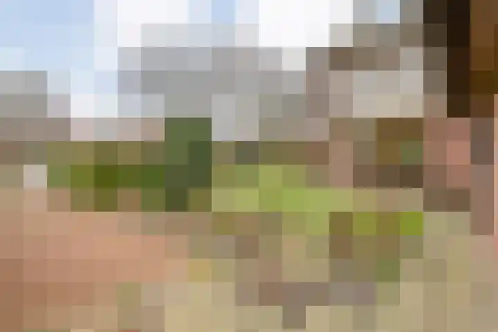 Dwarsstraat 2 Langeveen thumbnail 4