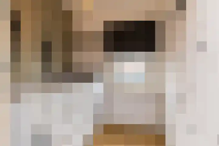 Dwarsstraat 2 Nuth thumbnail 21