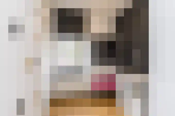 Dwarsstraat 2 Nuth thumbnail 23