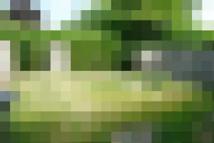 Dwarsstraat 3 Asch thumbnail 10