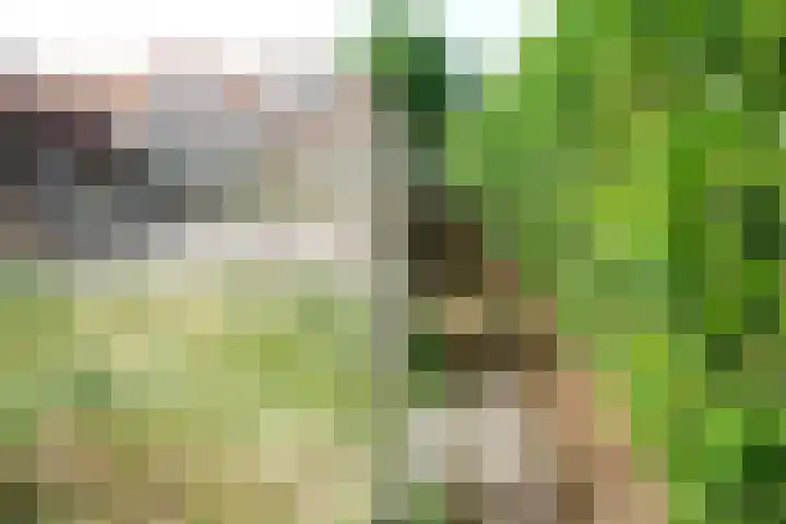 Dwarsstraat 3 Asch thumbnail 11