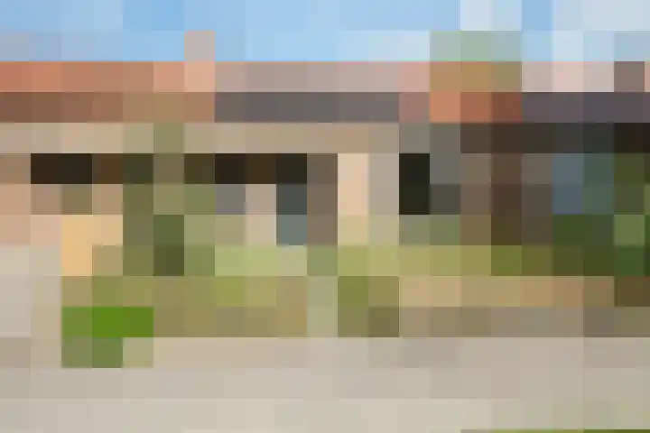 Dwarsstraat 3 Asch thumbnail 13