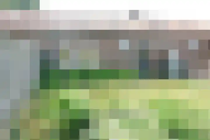 Dwarsstraat 3 Asch thumbnail 9