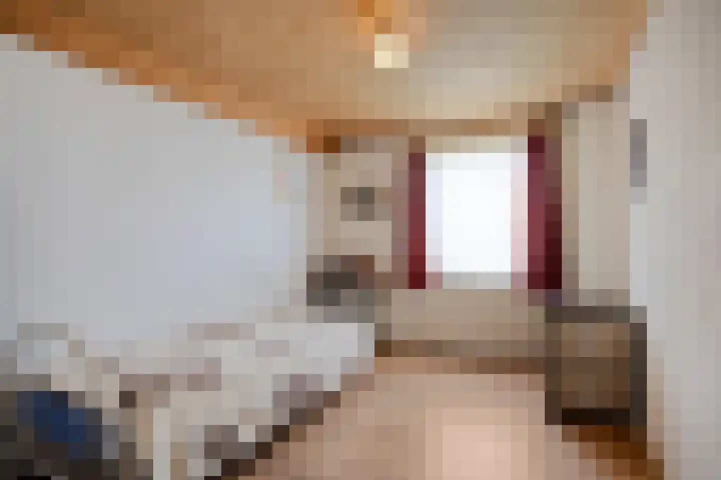 Dwarsstraat 3 Heesch thumbnail 31
