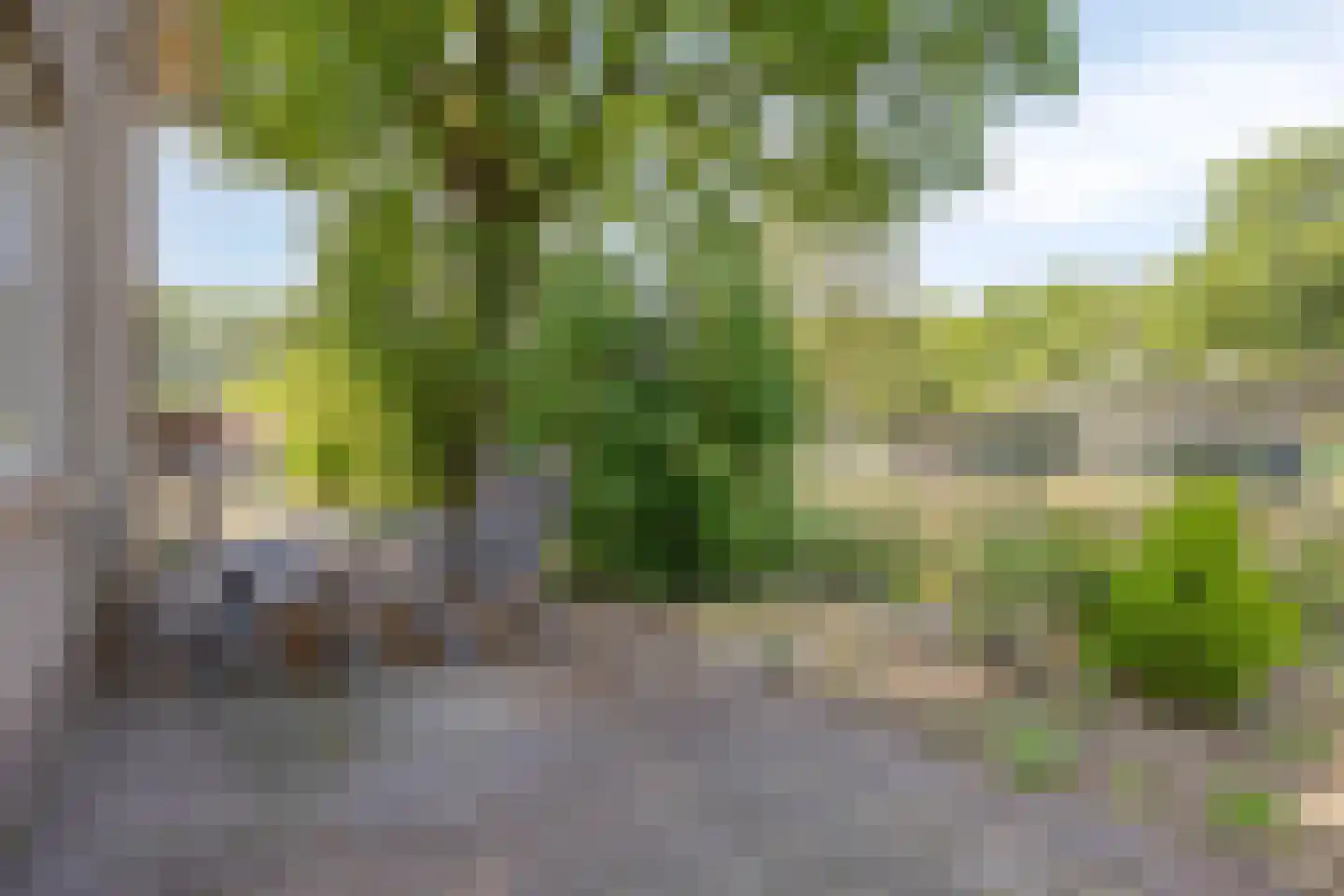 Dwarsstraat 3 Heesch thumbnail 35