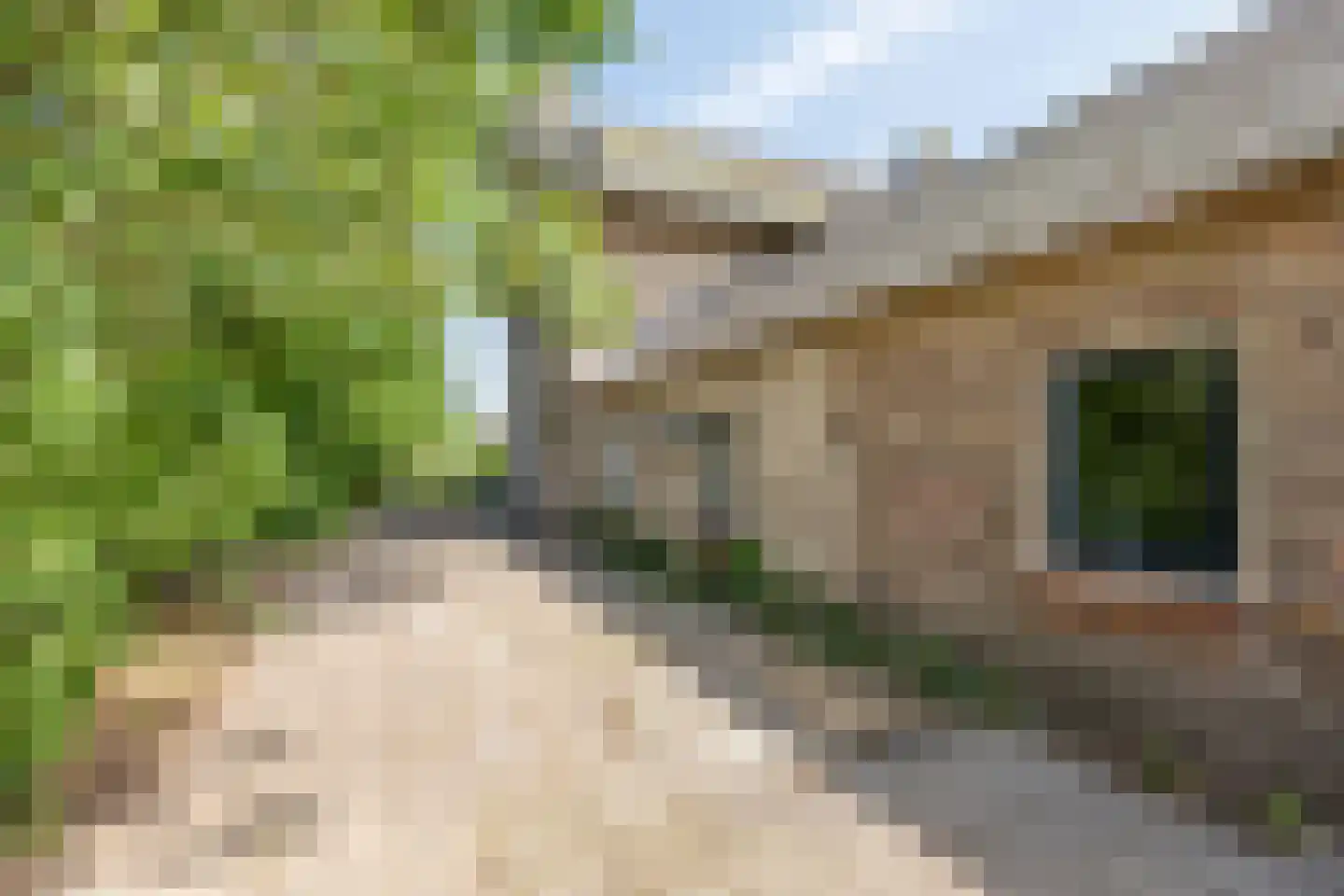 Dwarsstraat 3 Heesch thumbnail 36