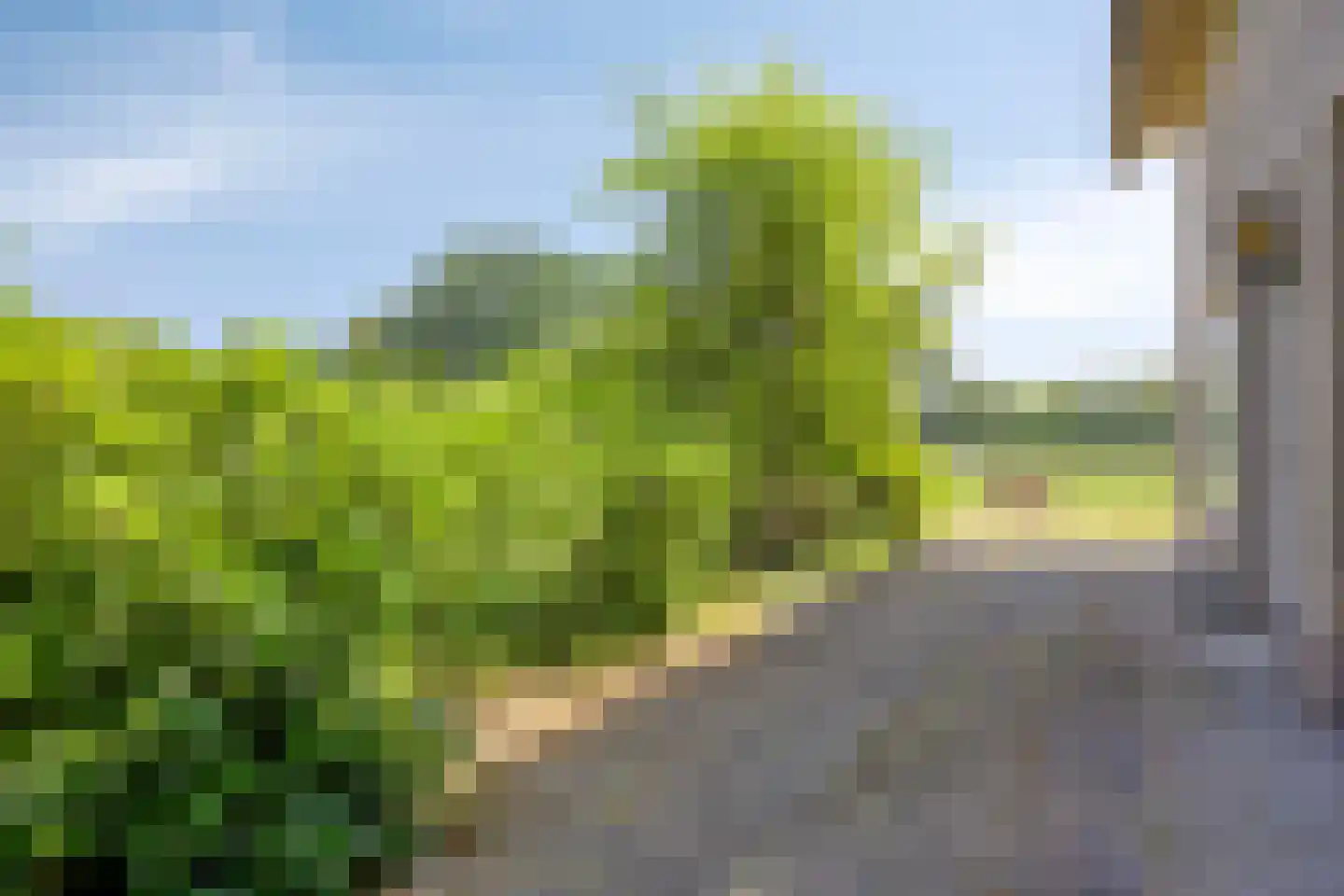 Dwarsstraat 3 Heesch thumbnail 37