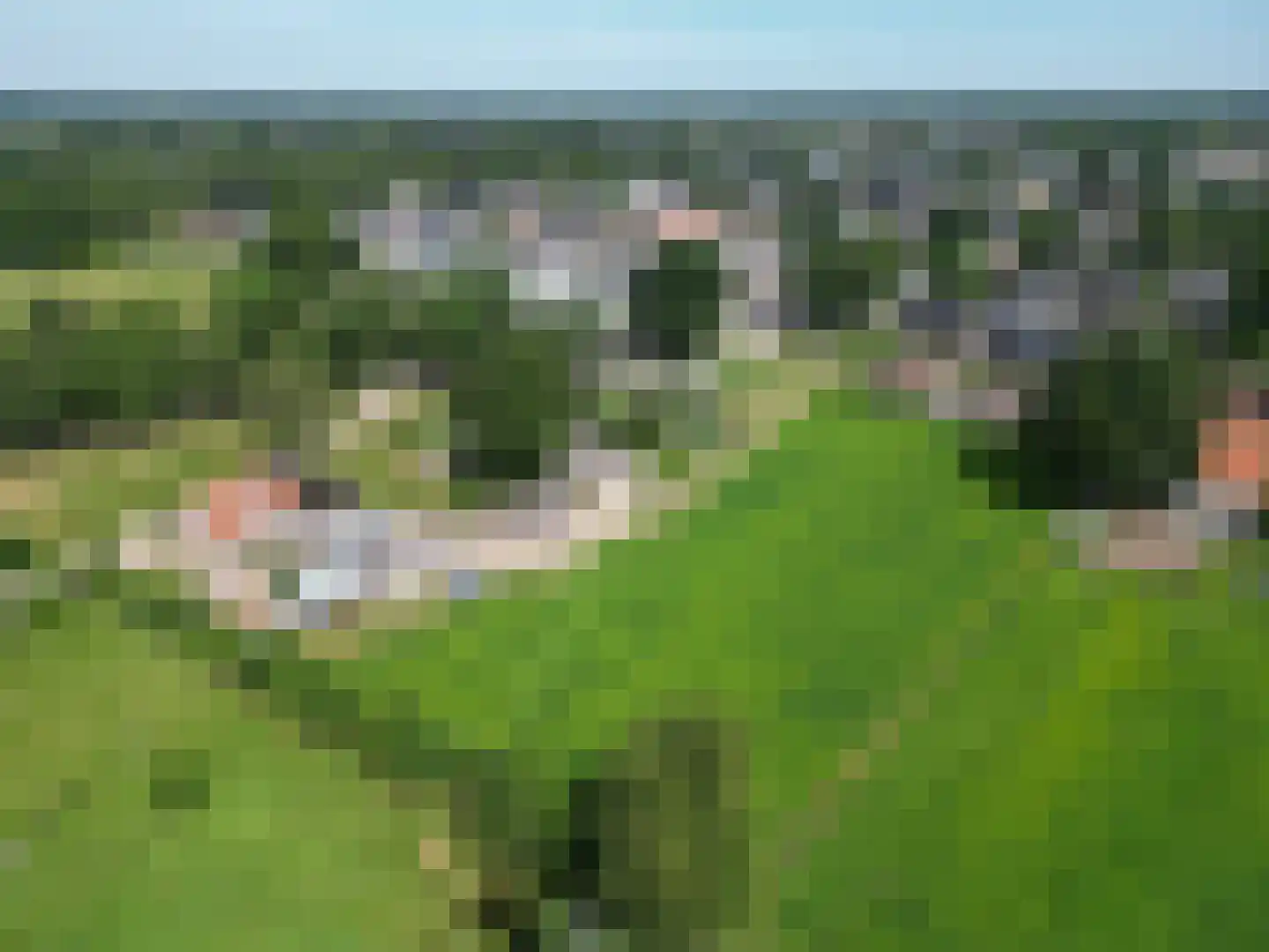 Dwarsstraat 3 Heesch thumbnail 38