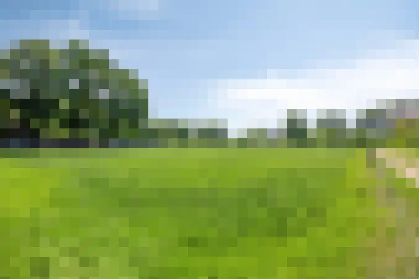 Dwarsstraat 3 Heesch thumbnail 5