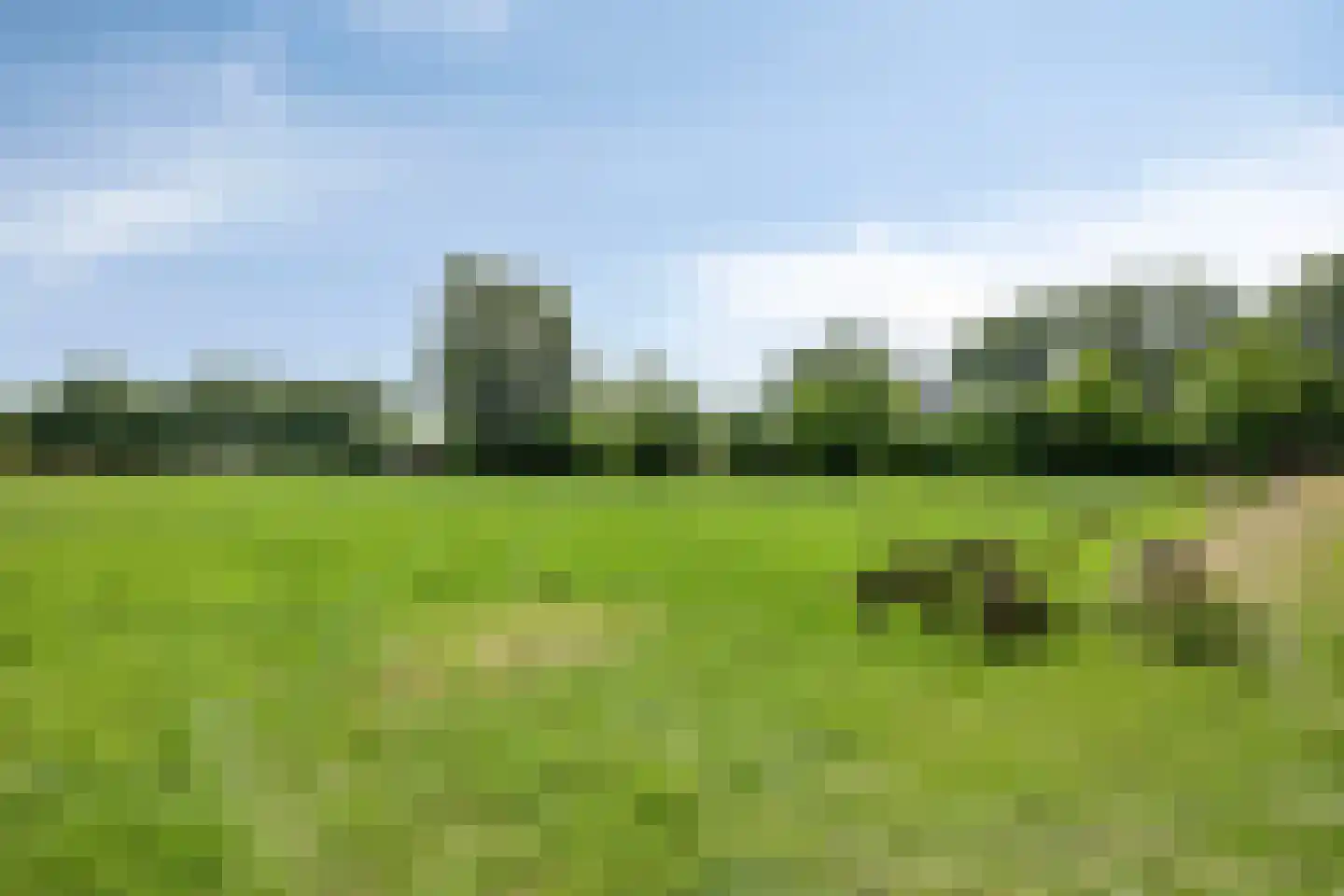 Dwarsstraat 3 Heesch thumbnail 7