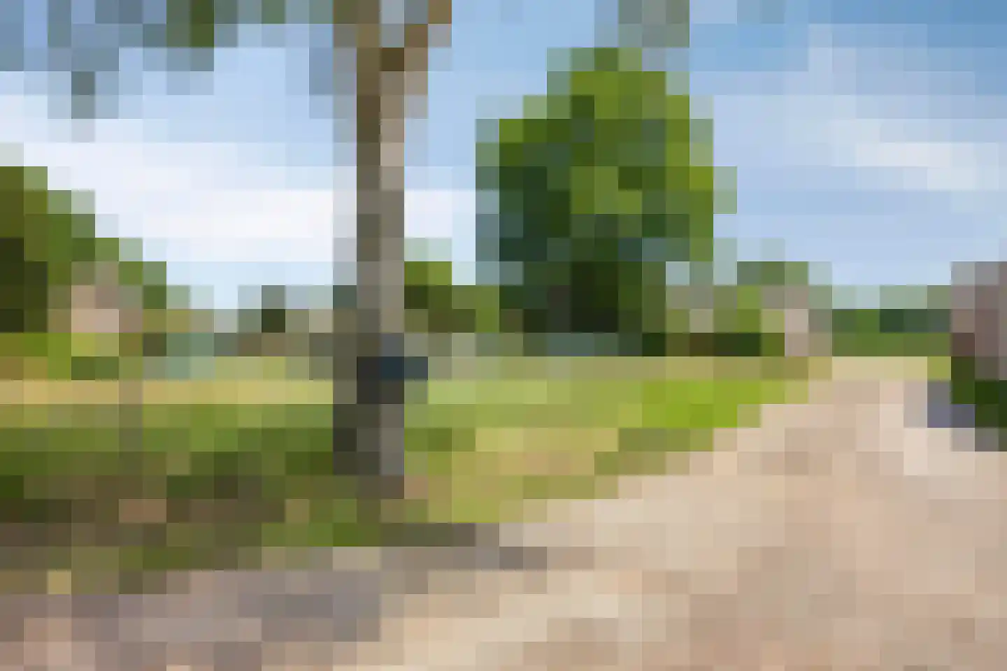 Dwarsstraat 3 Heesch thumbnail 9