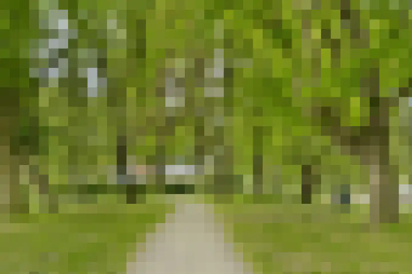 Dwarsstraat 4 Muiden thumbnail 26