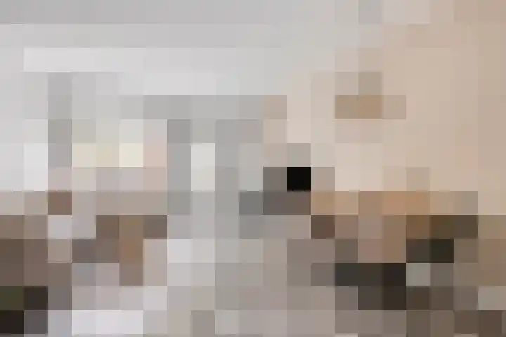 Dwarsstraat 4 Puttershoek thumbnail 6