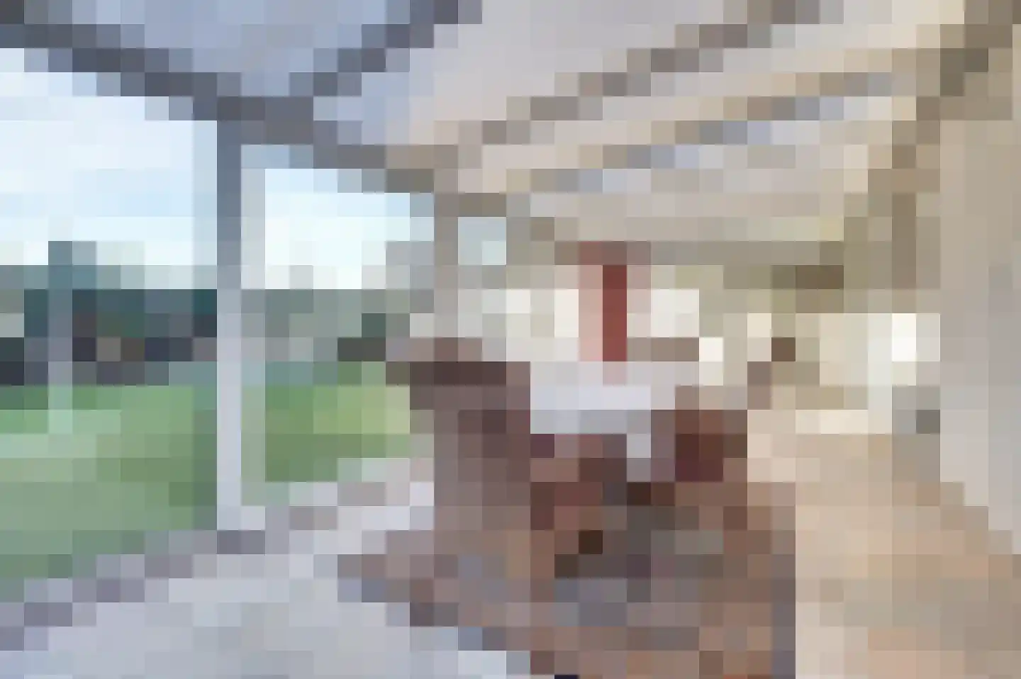 Dwarsstraat 5 Bladel thumbnail 16