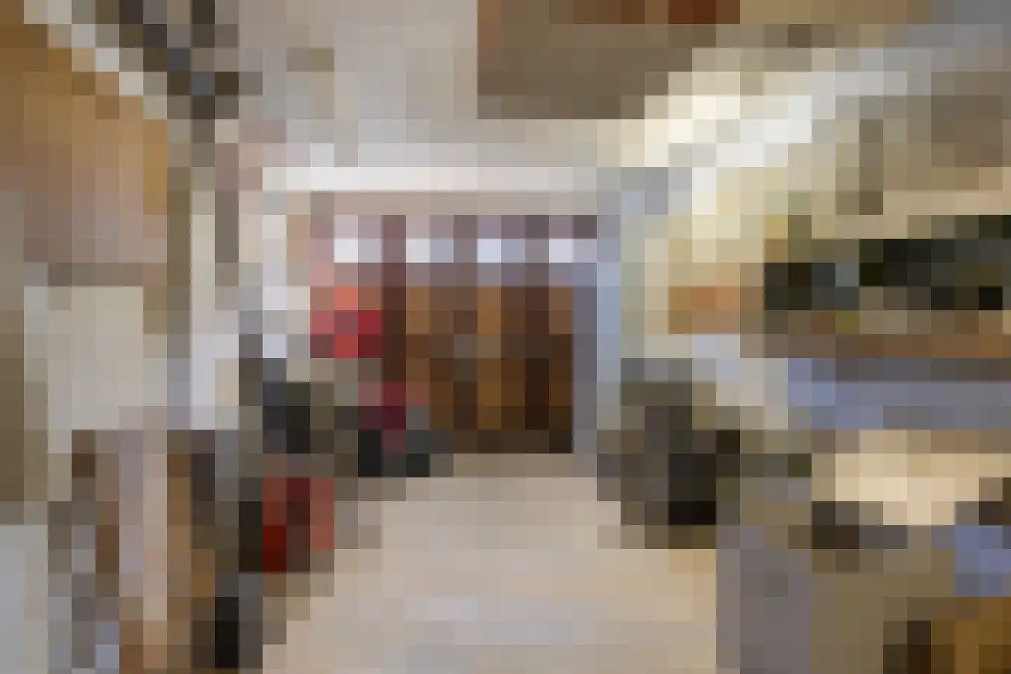 Dwarsstraat 6 Vlaardingen thumbnail 10