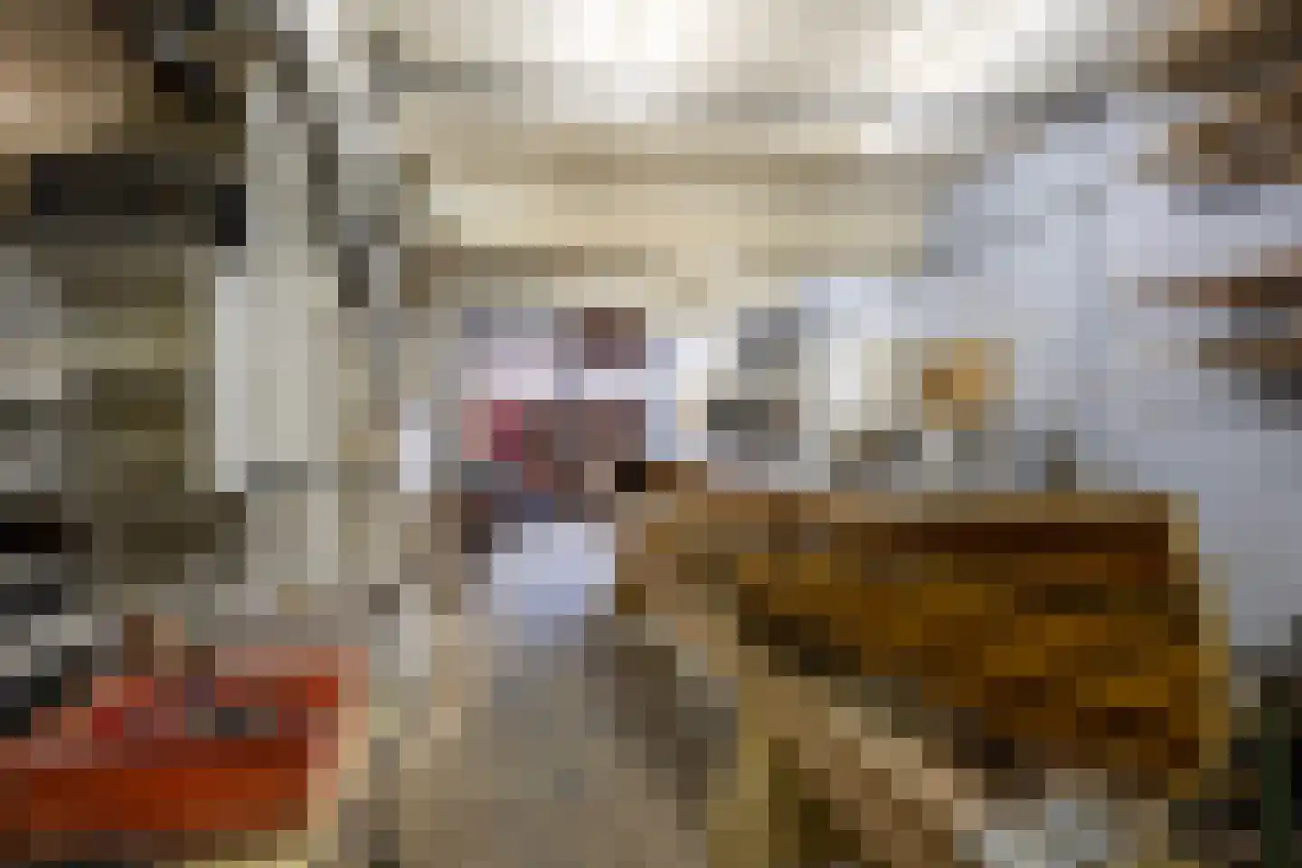 Dwarsstraat 6 Vlaardingen thumbnail 6