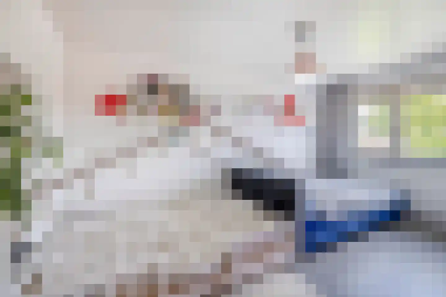 Dwarsstraat 7 Belfeld thumbnail 12