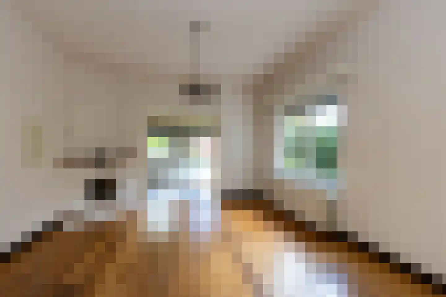 Dwarsstraat 7 Guttecoven thumbnail 16