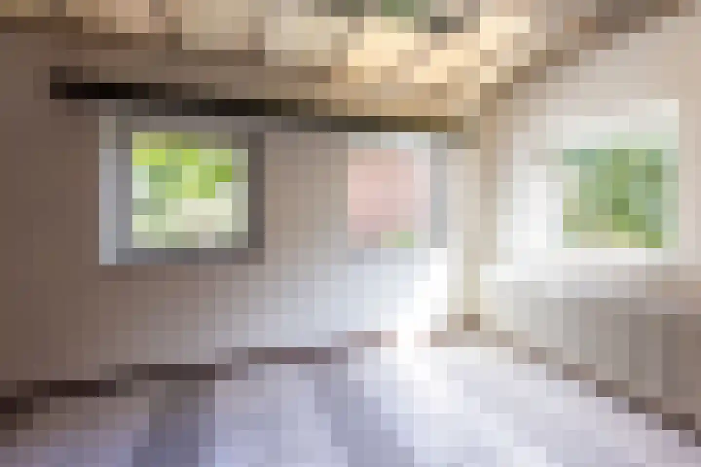Dwarsstraat 7 Guttecoven thumbnail 17
