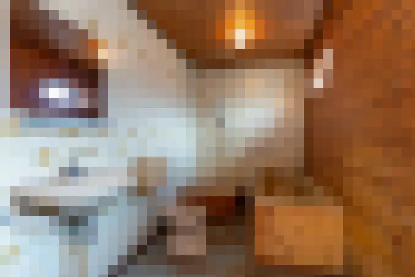 Dwarsstraat 7 Guttecoven thumbnail 23