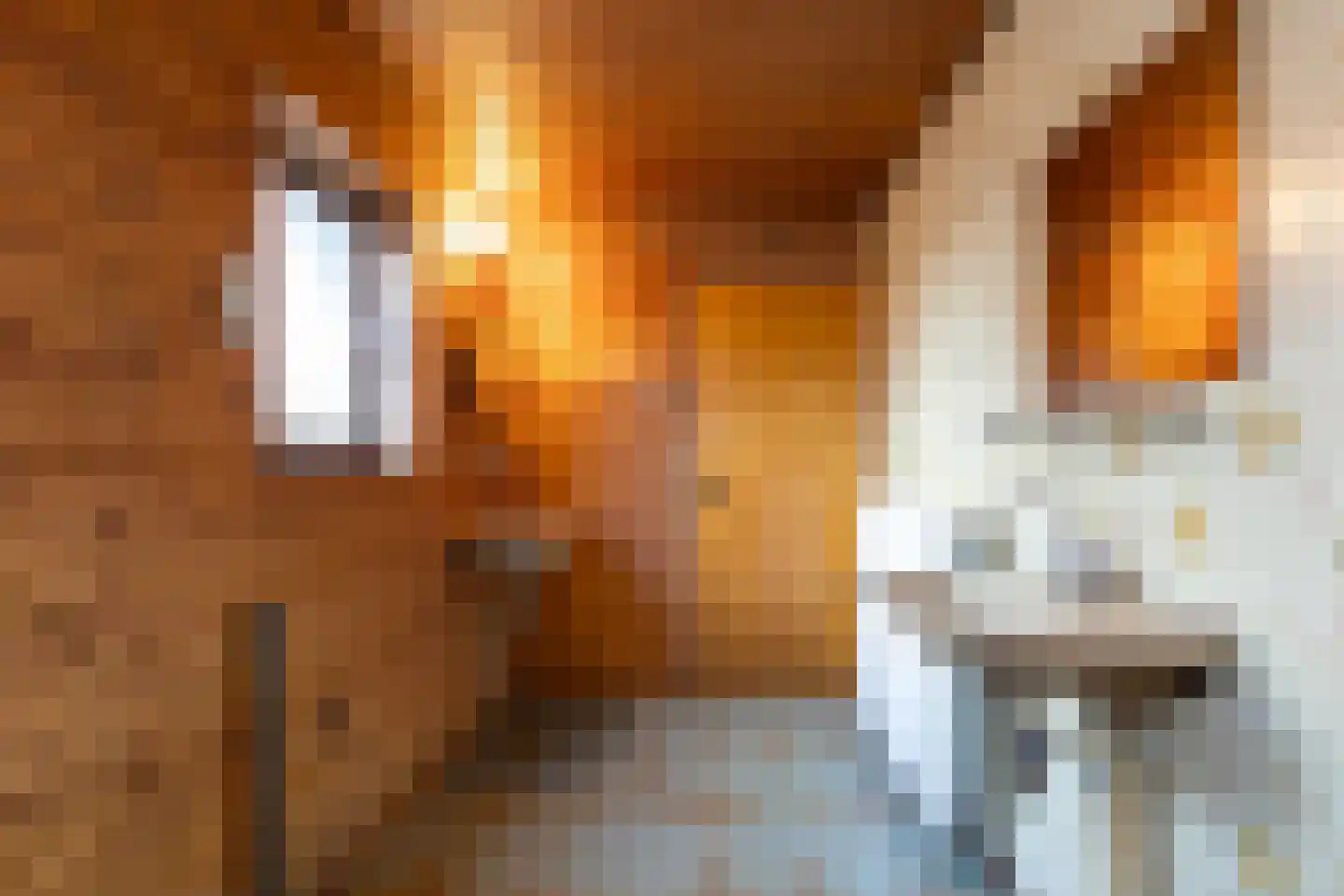 Dwarsstraat 7 Guttecoven thumbnail 24