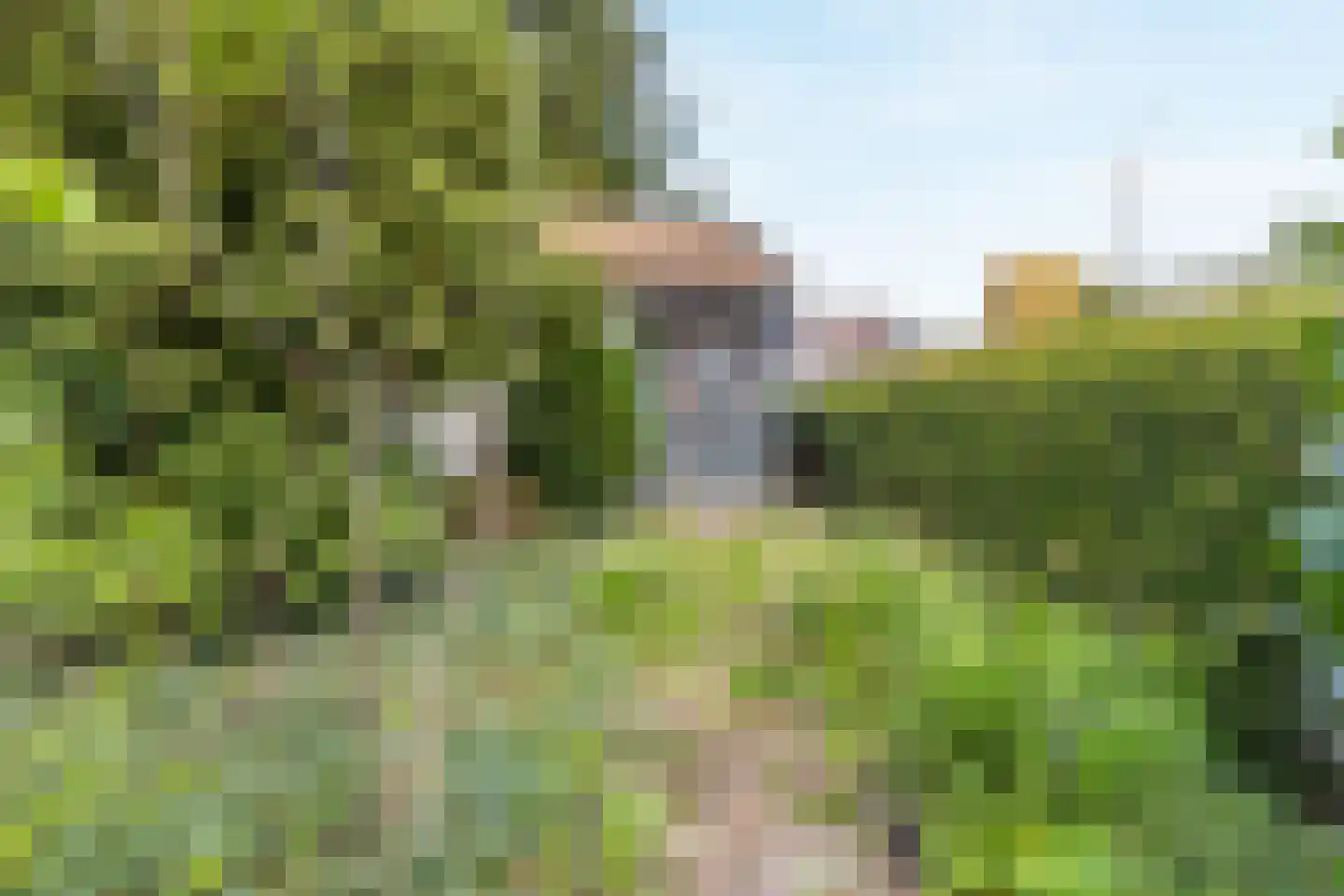 Dwarsstraat 7 Guttecoven thumbnail 29