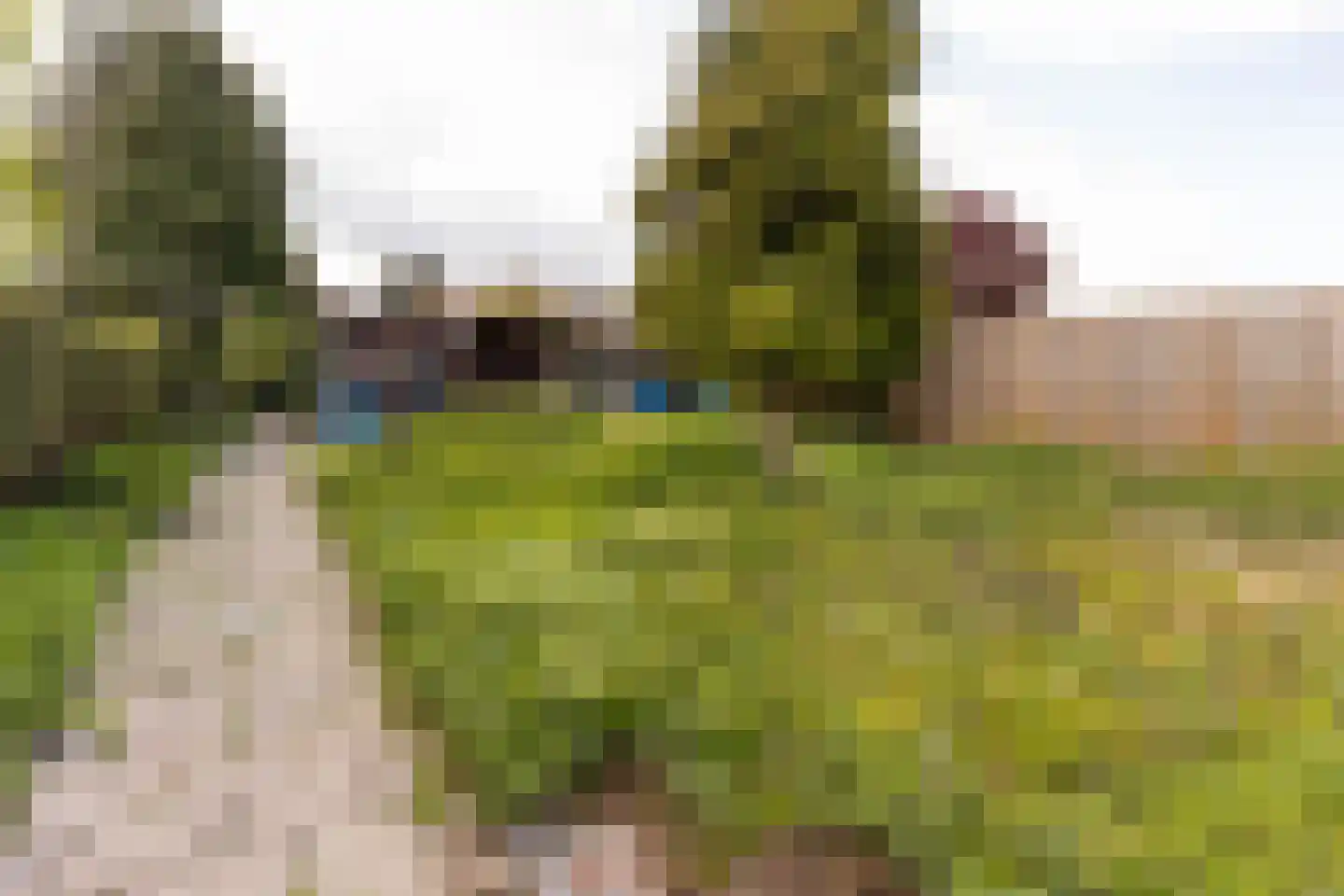 Dwarsstraat 7 Guttecoven thumbnail 30
