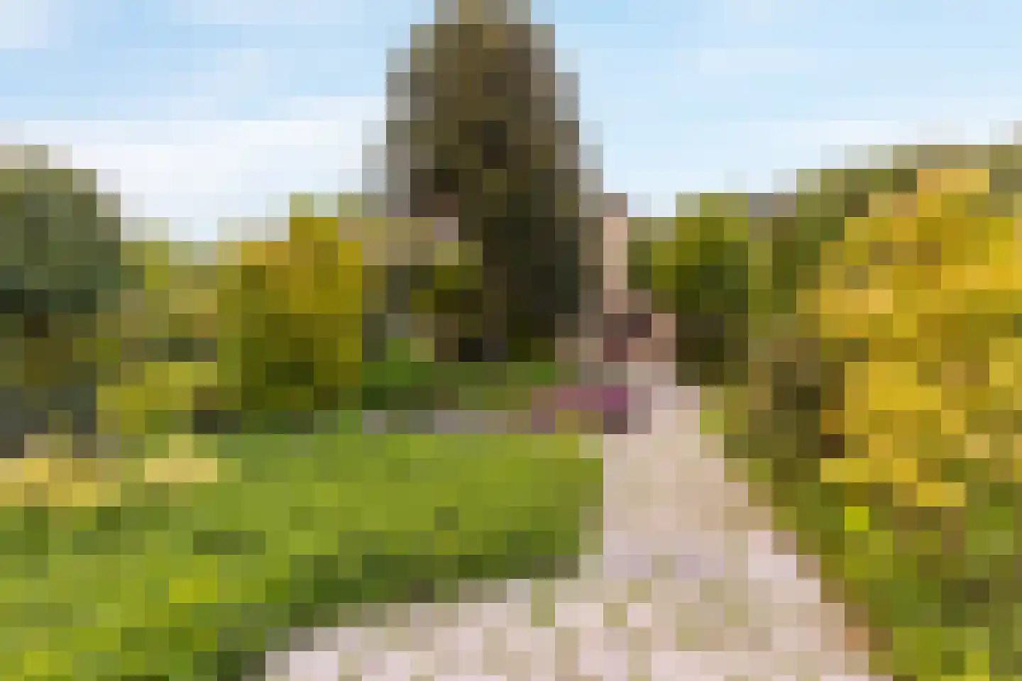 Dwarsstraat 7 Guttecoven thumbnail 31