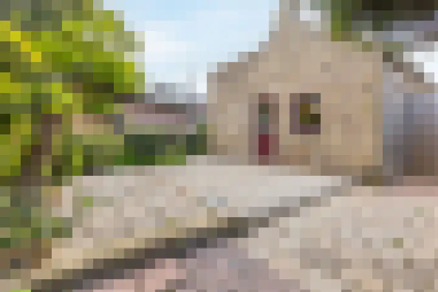 Dwarsstraat 7 Guttecoven thumbnail 32