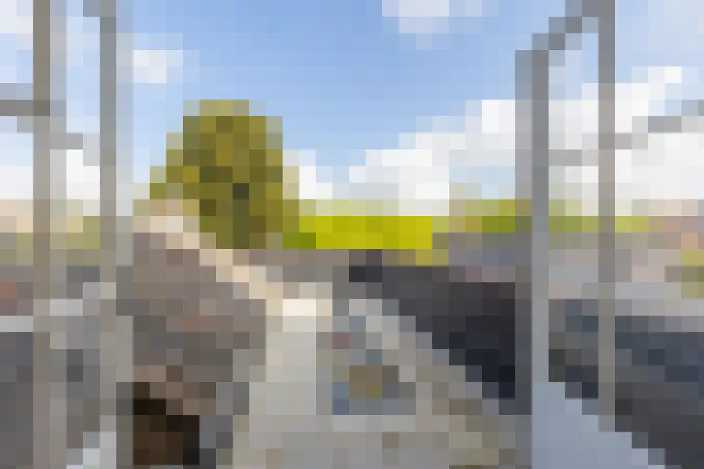 Dwarsstraat 7 Guttecoven thumbnail 35