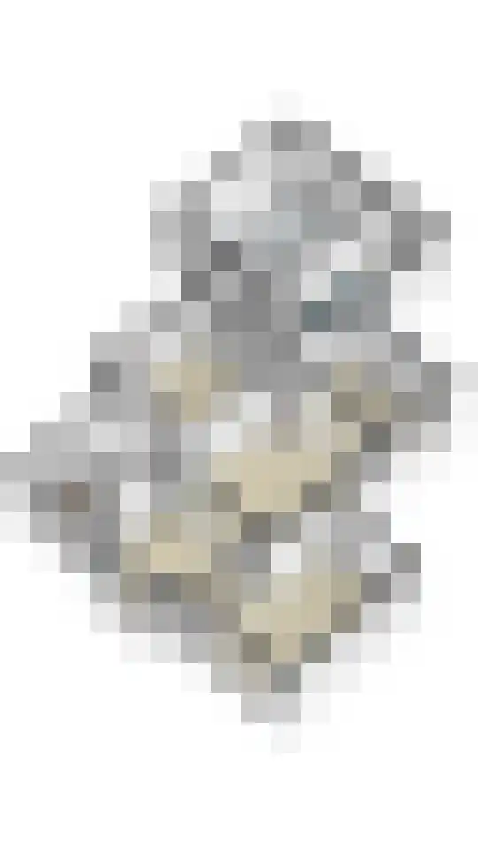 Dwarsstraat 7 Guttecoven thumbnail 51