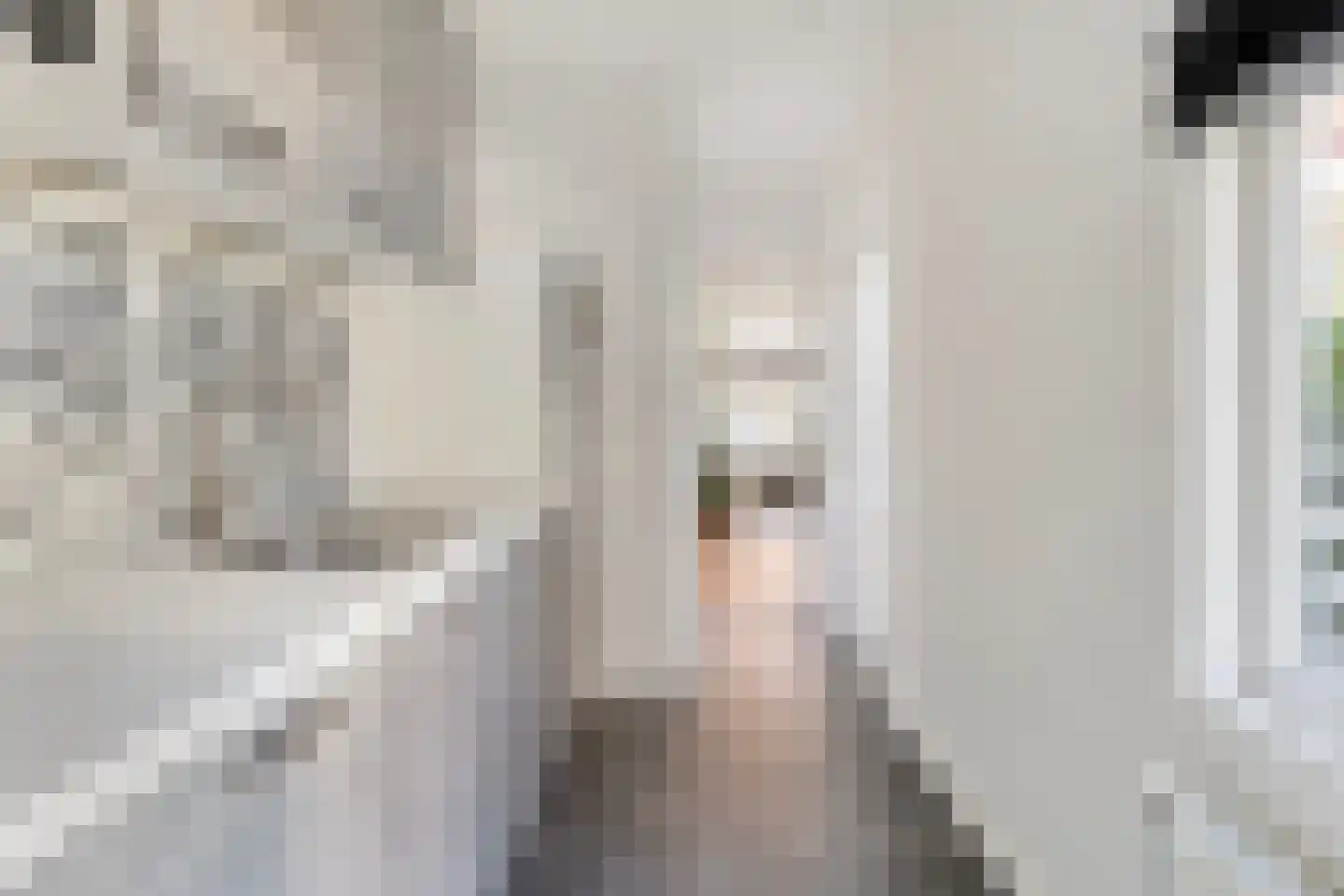 Dwarsstraat 7 Sliedrecht thumbnail 11