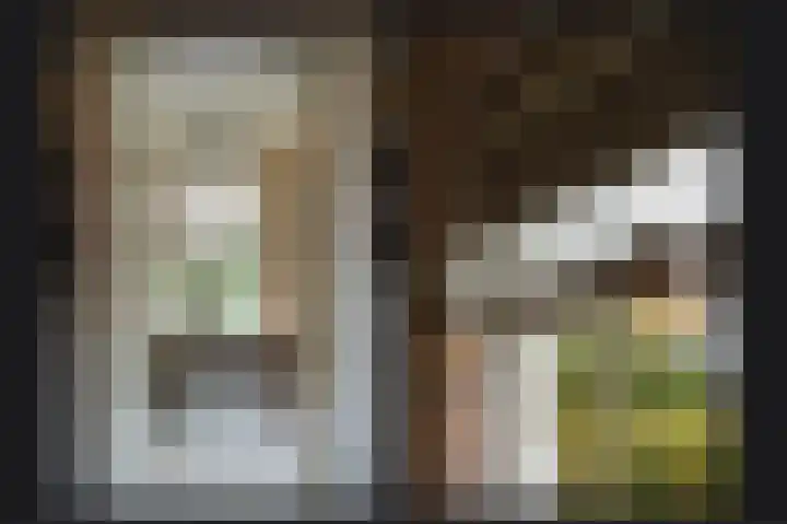 Dwarsstraat 9 Geldermalsen thumbnail 13