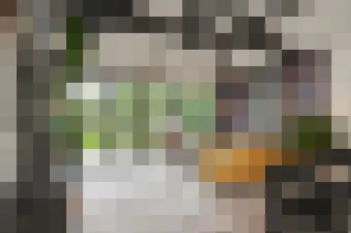 Dwarsstraat 9 Geldermalsen thumbnail 27