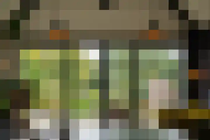 Dwarsstraat 9 Geldermalsen thumbnail 32