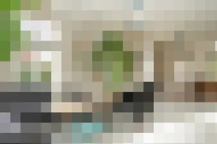 Dwarsstraat 9 Geldermalsen thumbnail 4