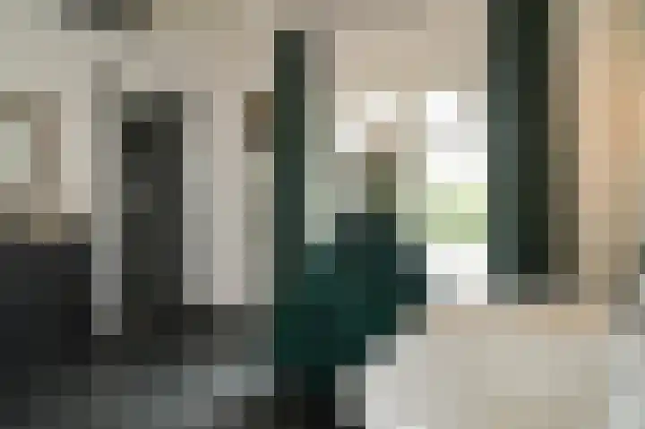 Dwarsstraat 9 Geldermalsen thumbnail 41
