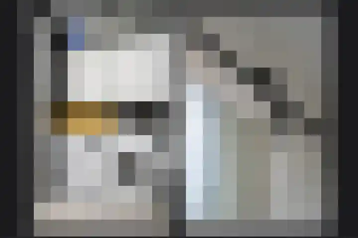 Dwarsstraat 9 Geldermalsen thumbnail 47