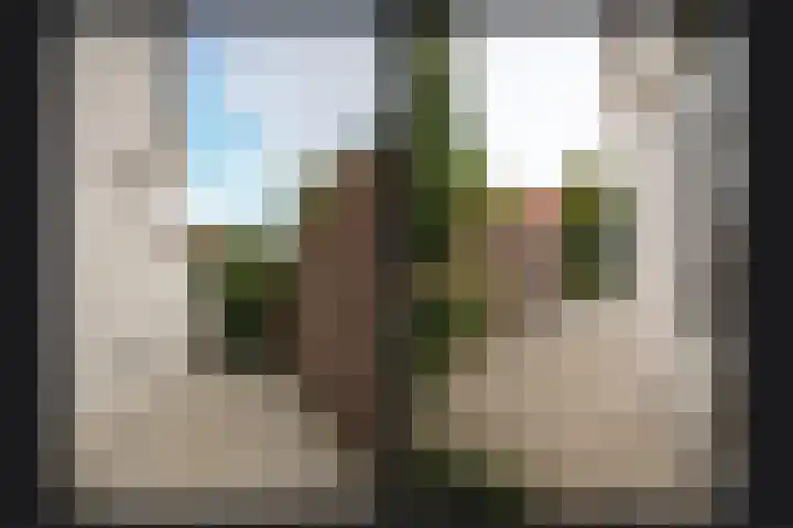 Dwarsstraat 9 Geldermalsen thumbnail 56
