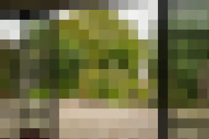 Dwarsstraat 9 Geldermalsen thumbnail 58