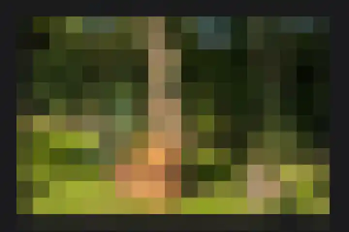 Dwarsstraat 9 Geldermalsen thumbnail 64