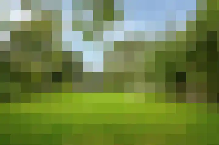 Dwarsstraat 9 Geldermalsen thumbnail 69