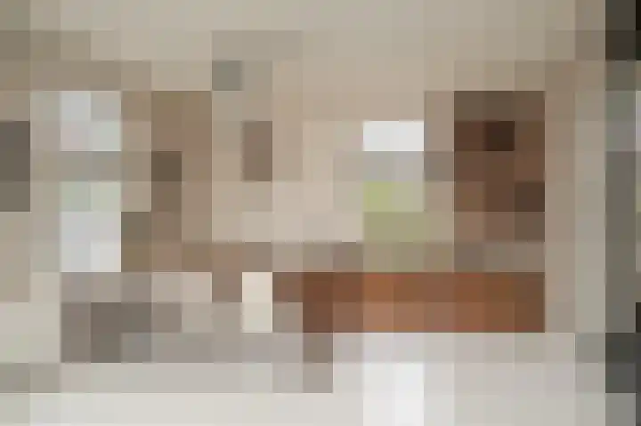 Dwarsstraat 9 Geldermalsen thumbnail 8