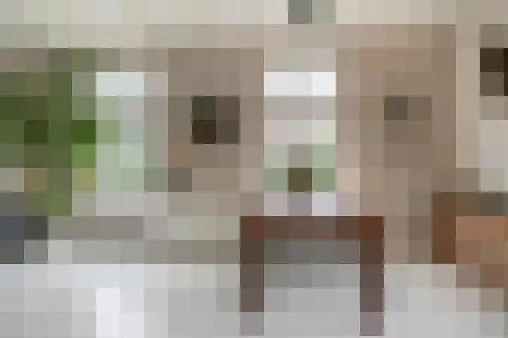 Dwarsstraat 9 Geldermalsen thumbnail 9