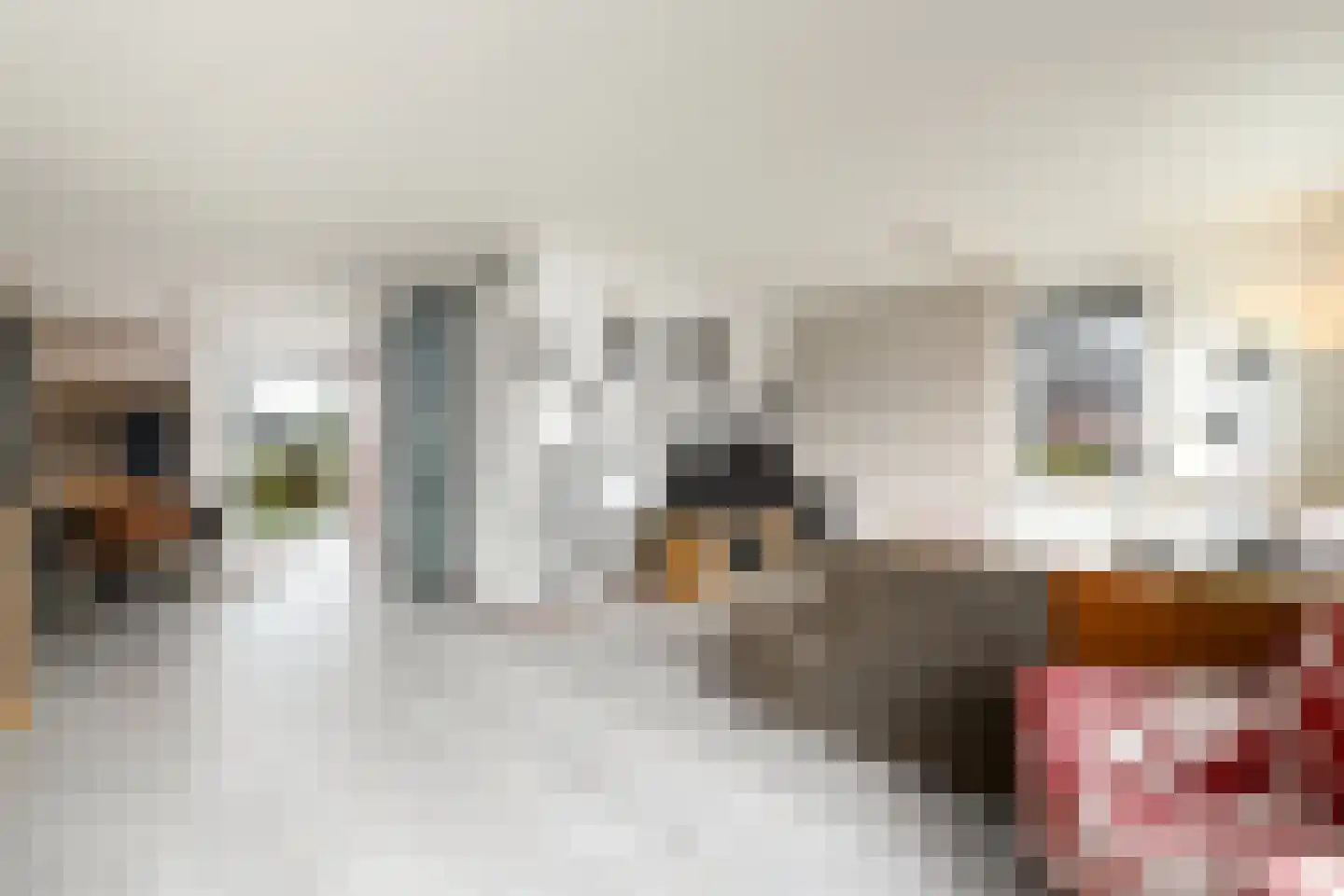 Dwarstak 26 Houtigehage thumbnail 10